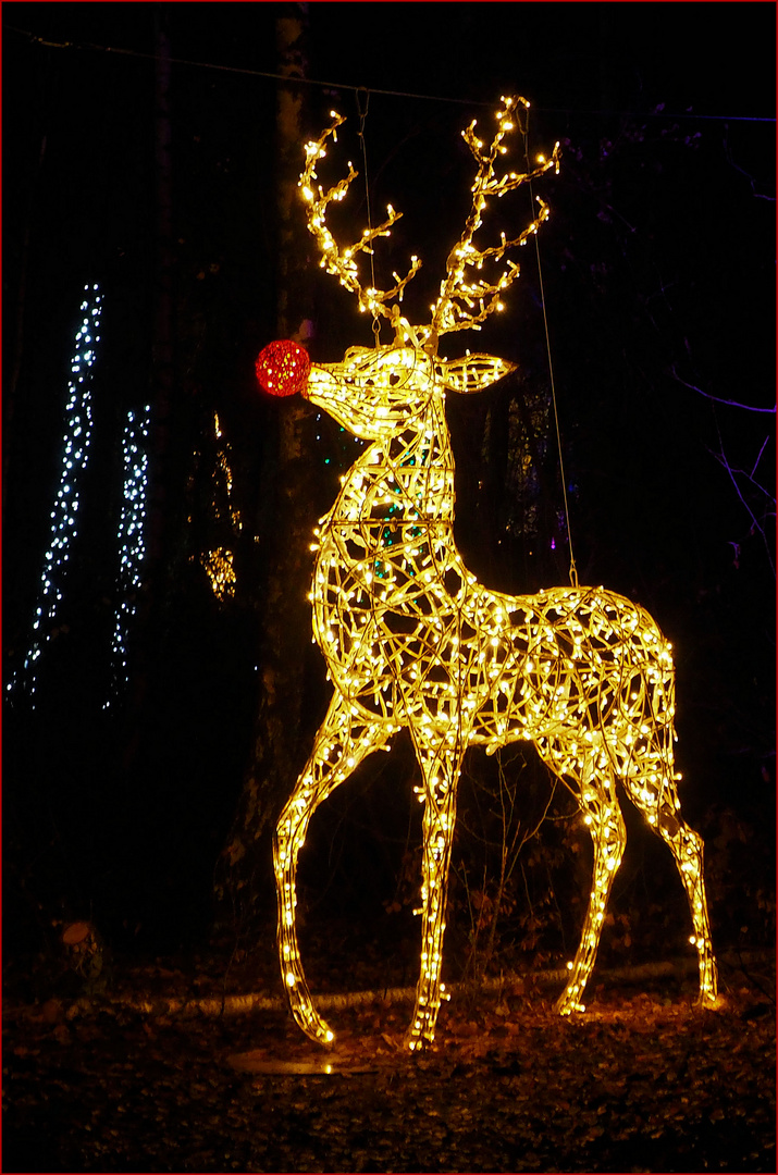 Einen schönenes 2. Adventswochenende..