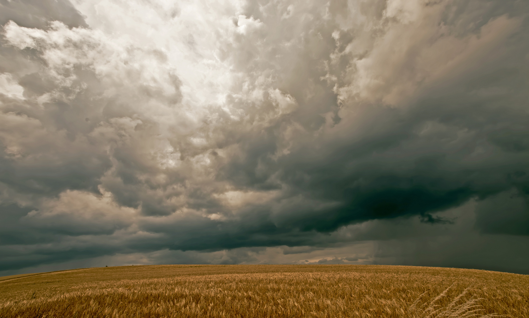 Einen Sommer voller Gewitter ......