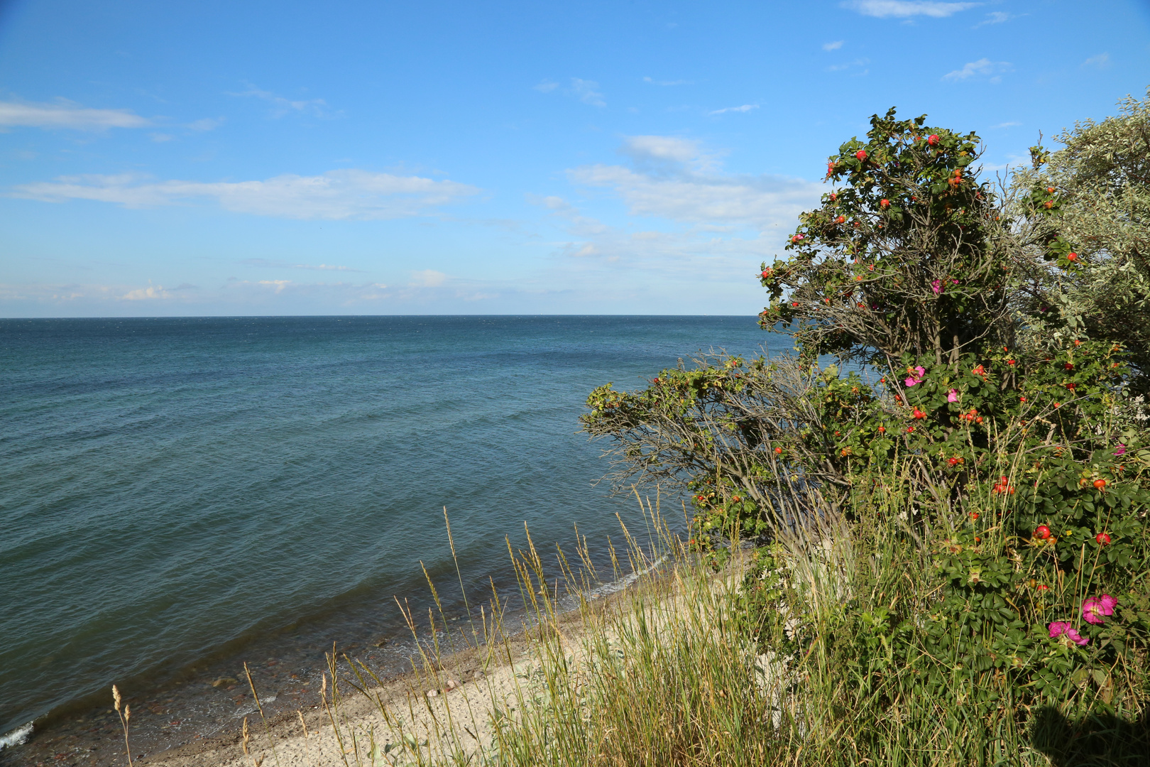 Einen Sommersonnentag an der Ostsee bei Kühlungsborn