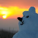 Einen sonnigen kalten Gruß (minus 7 Grad) aus der Pfalz schicke ich meinen fc freunden.