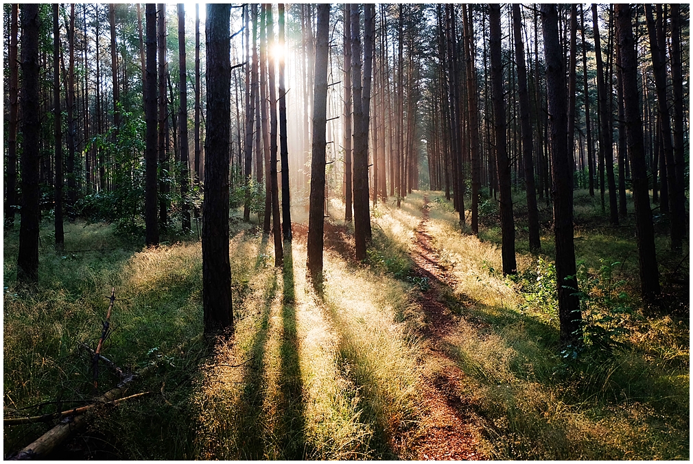 Einen sonnigen Weg durch den Tag...