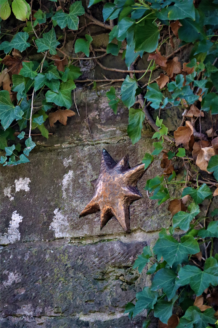 einen Stern , für das  Sterntaler Mädchen 