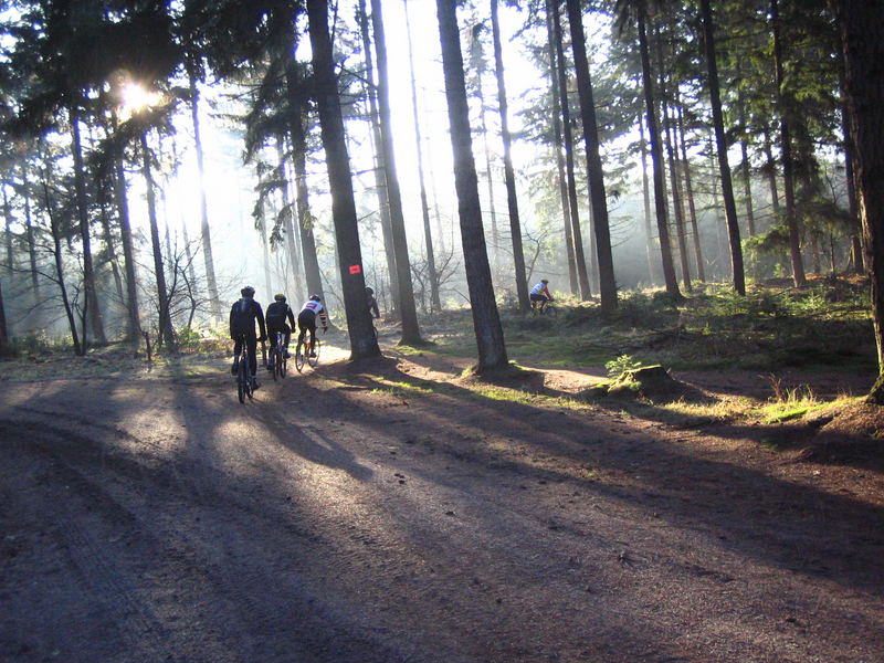 Einen Tag bei einer Veldtocht in NL