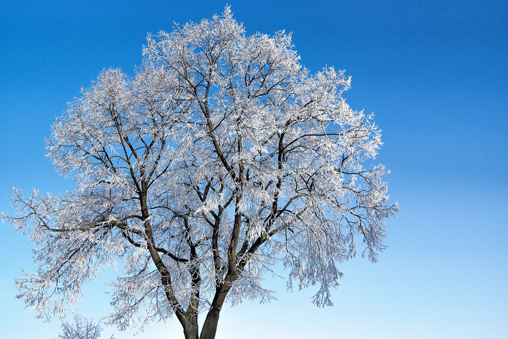 Einen Tag blauen Himmel...