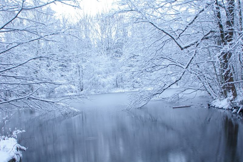 Einen Tag Winter im Jahr