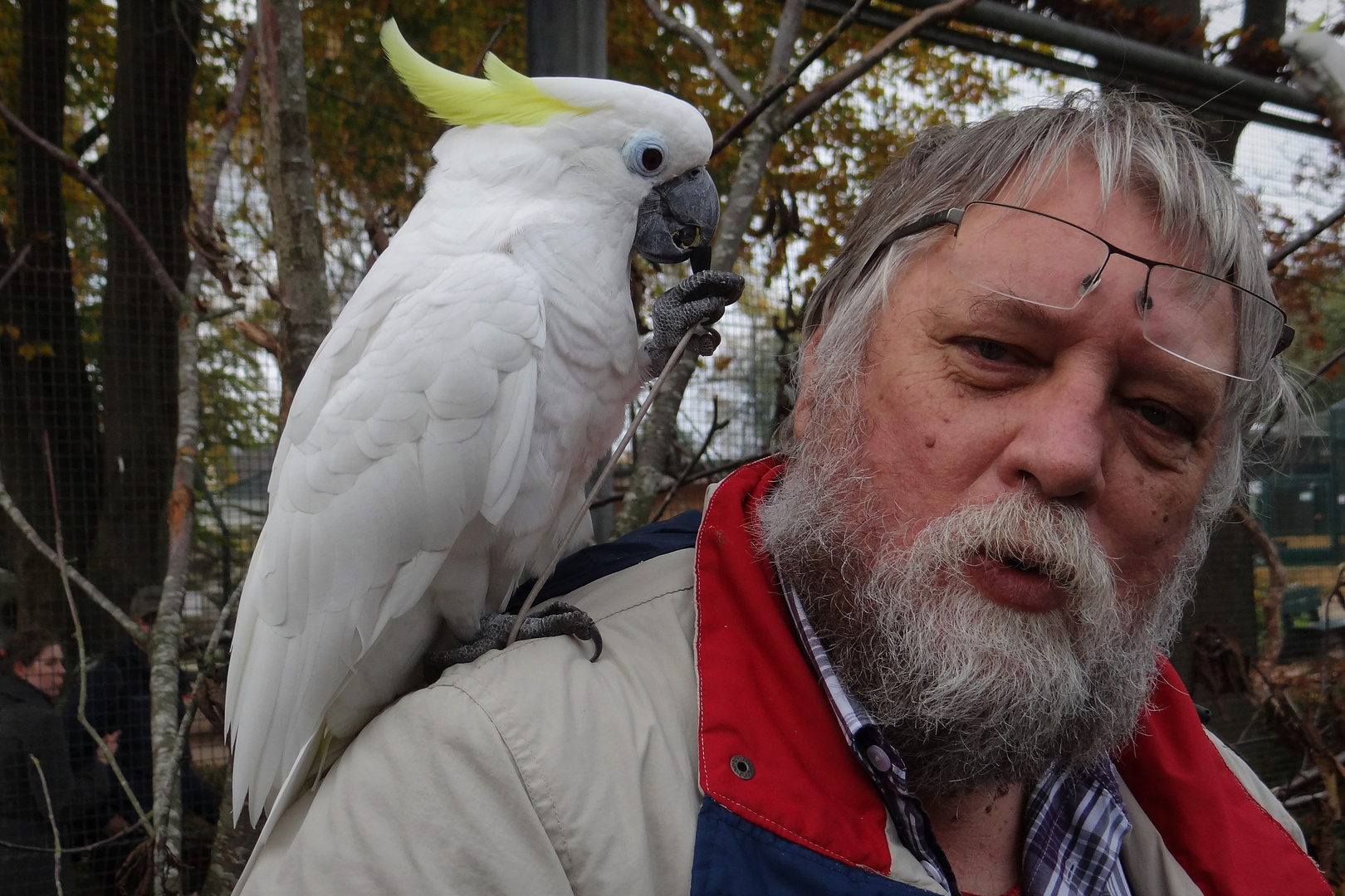 einen Vogel haben