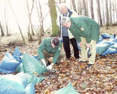 Einen Waldfrevel im "Kehrlicht"...