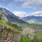 Einen Weitblick bis nach Meran