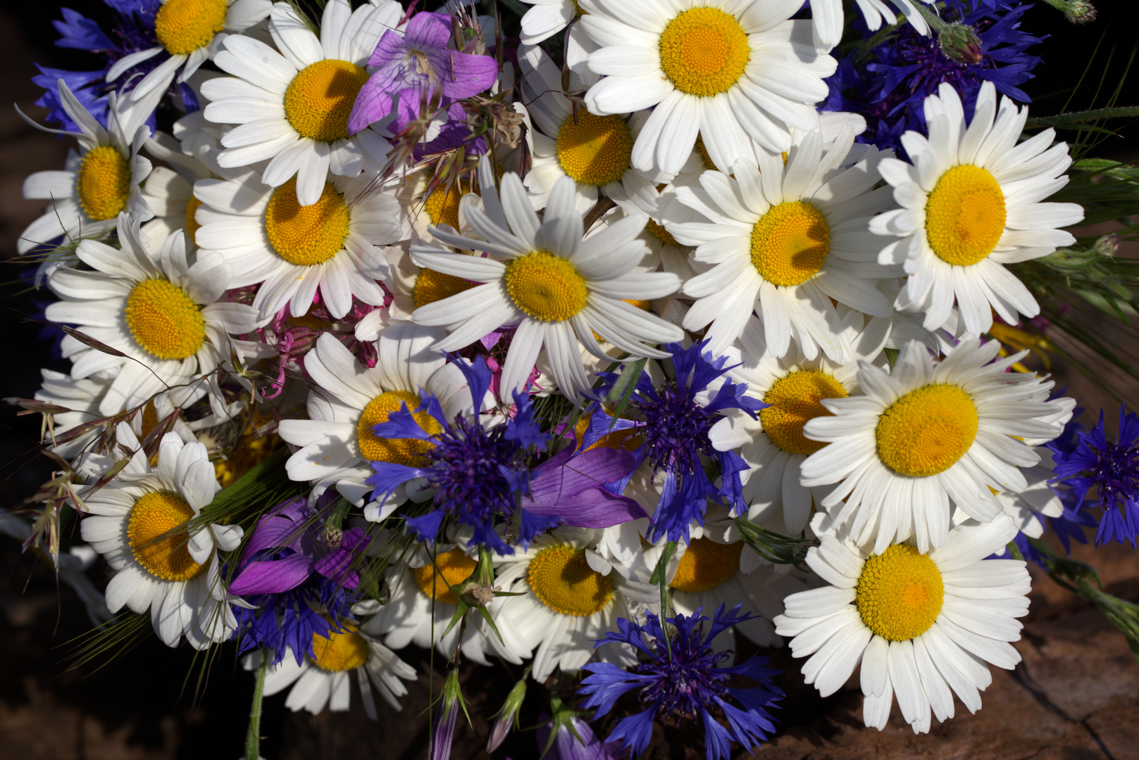 Einen Wiesenblumenstrauß