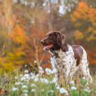 Einen wunderschönen Herbsttag in vollen Zügen genossen 