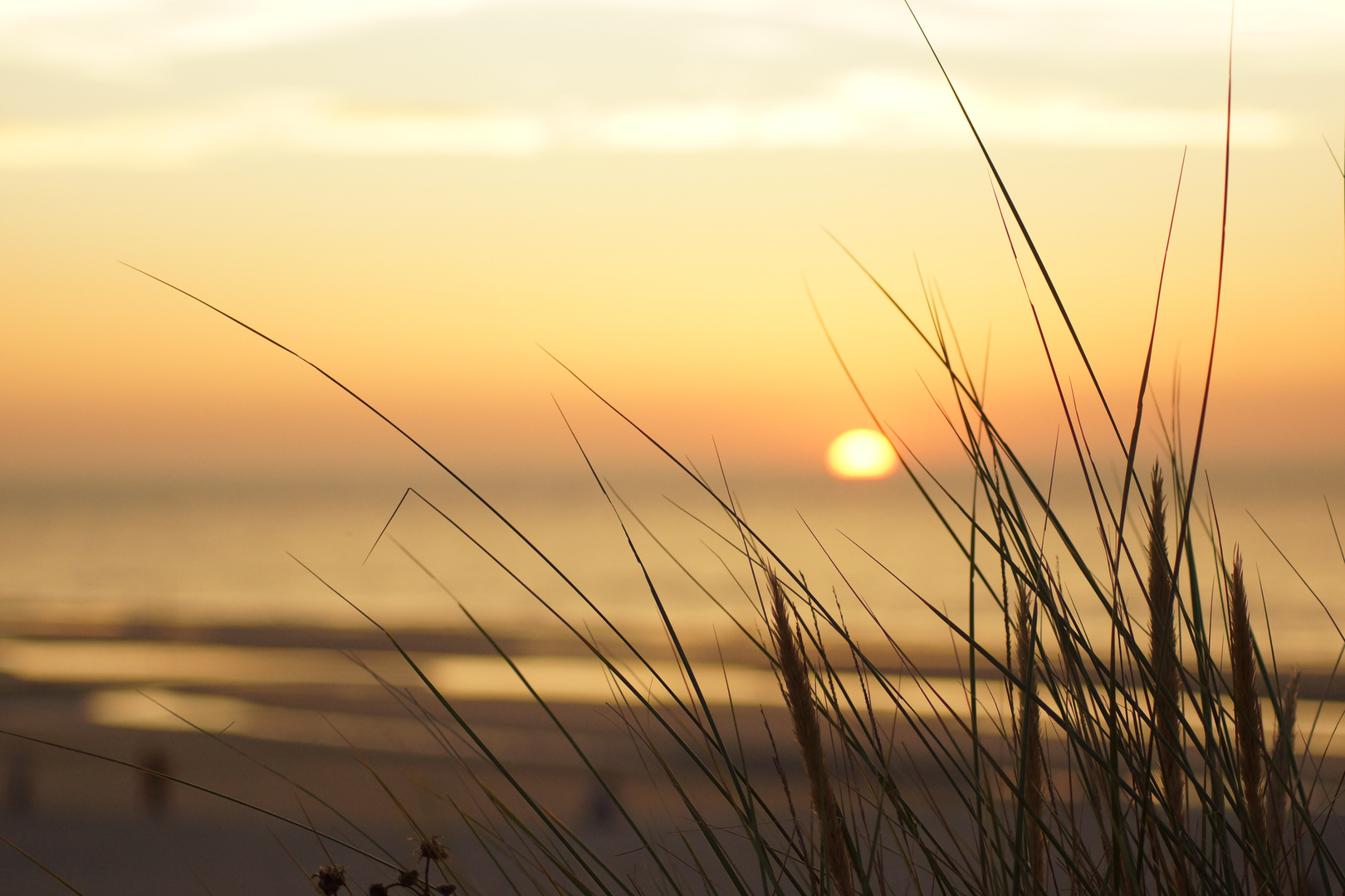 Einen wunderschönen Sonnenuntergang 