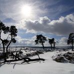 Einen wunderschönen Wintertag . . .