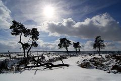 Einen wunderschönen Wintertag . . .