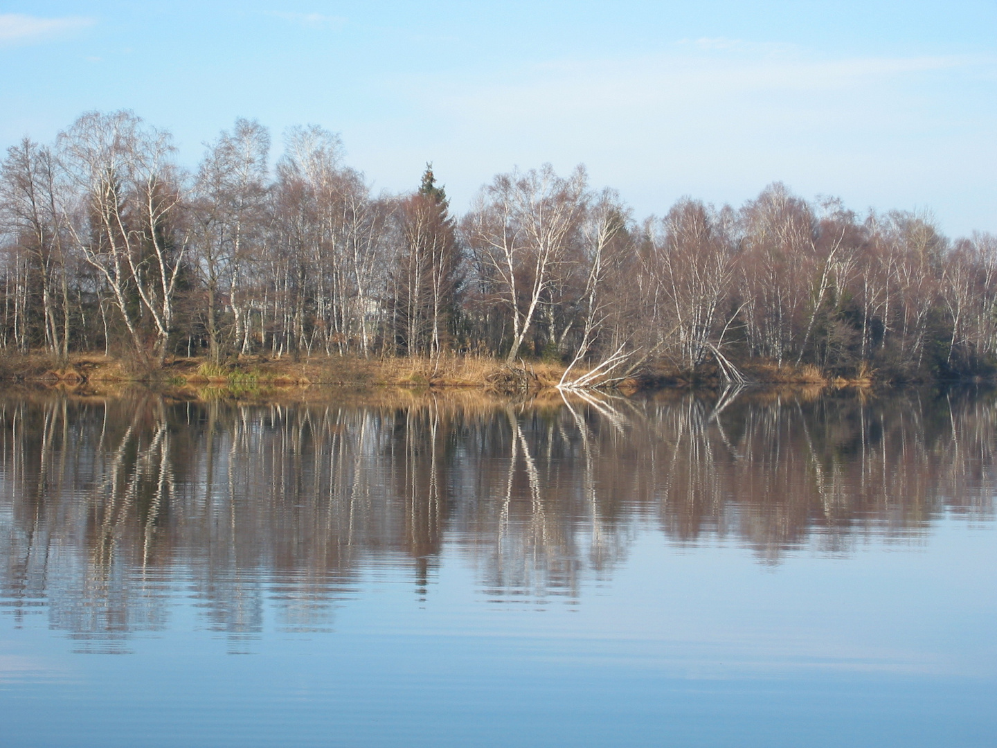 einer der 3 Egelseen bei Mattsee