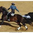 Einer der besten Stierkämpfer Spaniens: Pablo Hermoso de Mendoza