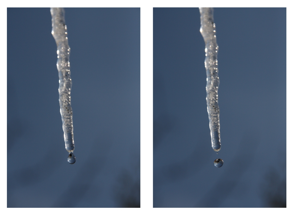 einer der letzten Eiszapfen in diesem Winter