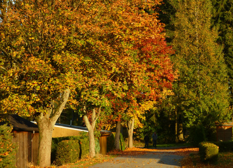 Einer der letzten schönen Herbsttage