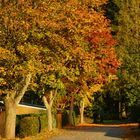 Einer der letzten schönen Herbsttage