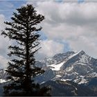 Einer der schönsten Gipfel in den deutschen Alpen