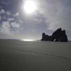 einer der schönsten Strände in Neuseeland