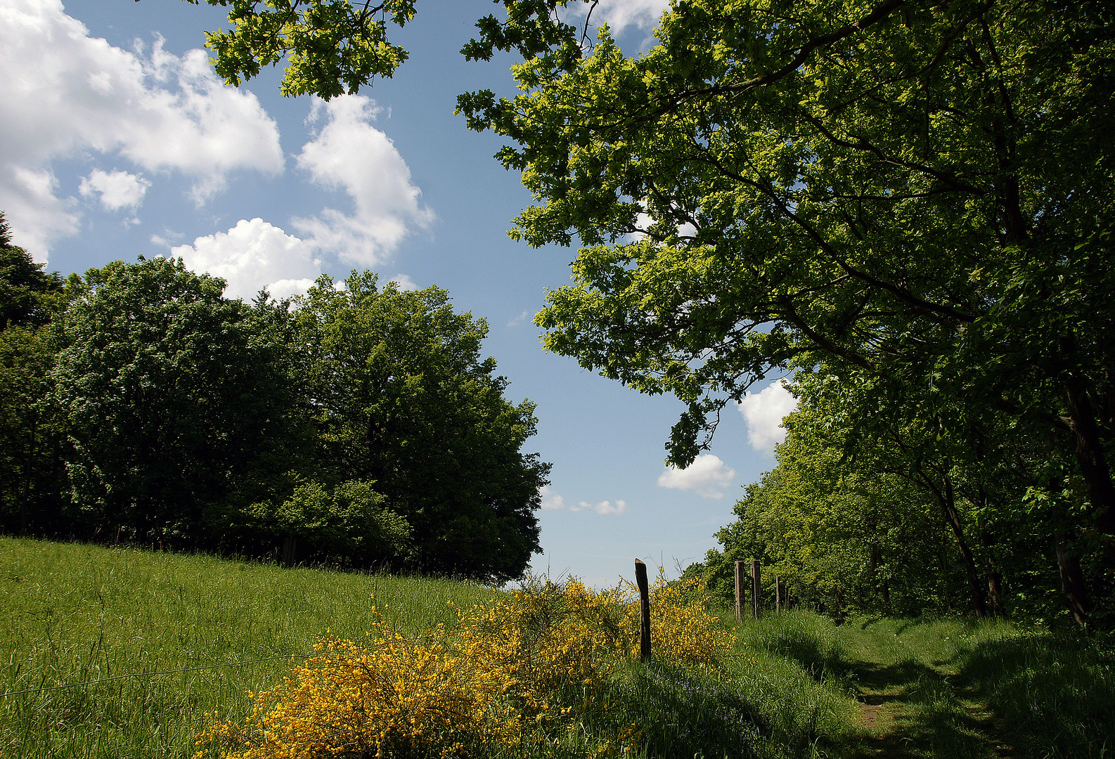 ... einer der schönsten Wanderwege der Oberlausitz