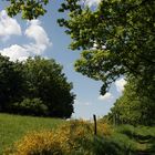 ... einer der schönsten Wanderwege der Oberlausitz