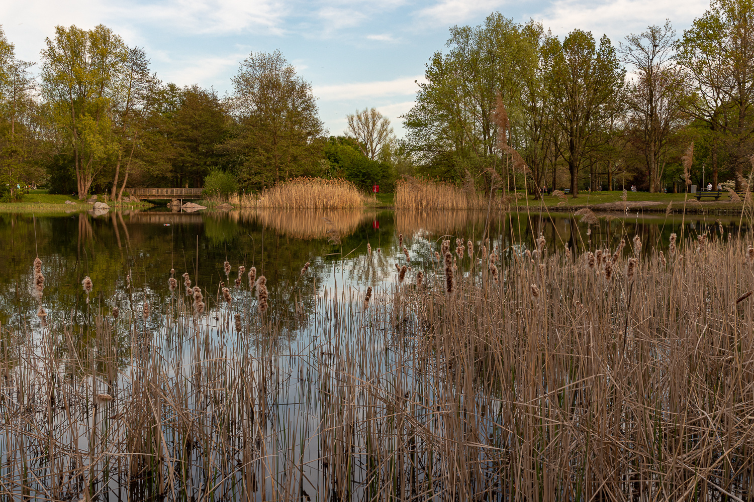 Einer der Seen im Britzer Garten
