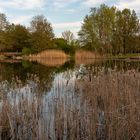 Einer der Seen im Britzer Garten