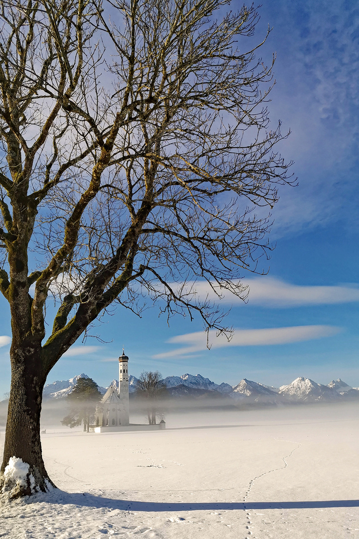 Einer der seltenen Tage mit Sonne und Schnee!