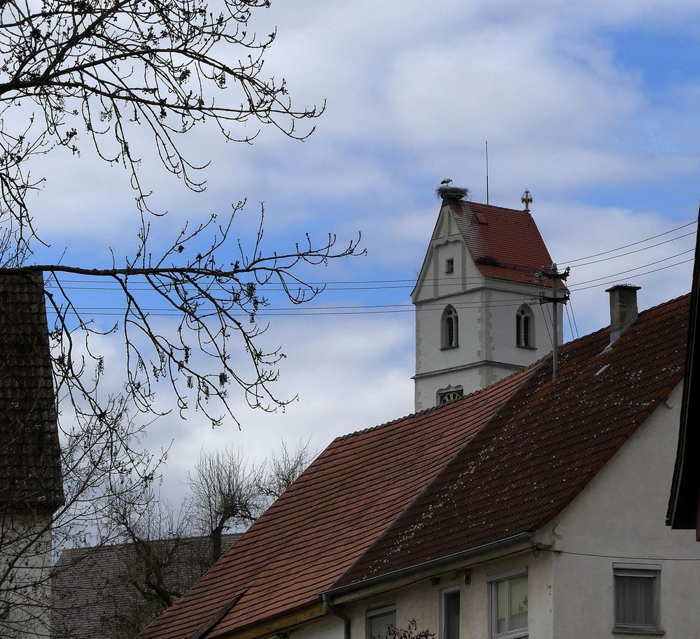 Einer der Störche