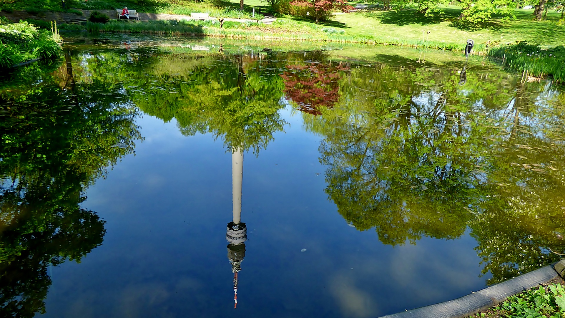 Einer der Teiche . . . Foto & Bild landschaft, garten