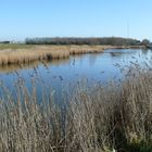 Einer der vielen Kanäle in Holland