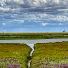 Einer der vielen Naturschutzgebiete auf Borkum 