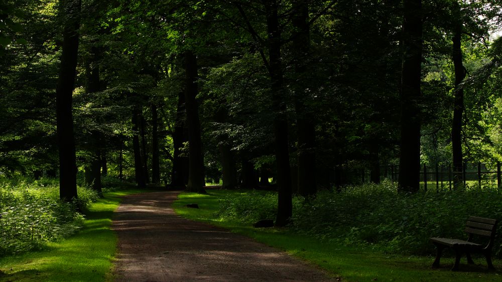 Einer der vielen Wege durch den Tiergarten Hannover