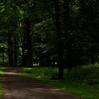 Einer der vielen Wege durch den Tiergarten Hannover