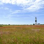 Einer der Wegweiser auf Sylt
