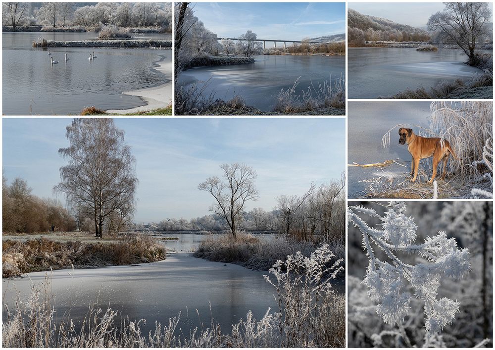 Einer der wenigen Wintertage Foto & Bild winter, teich, eis Bilder