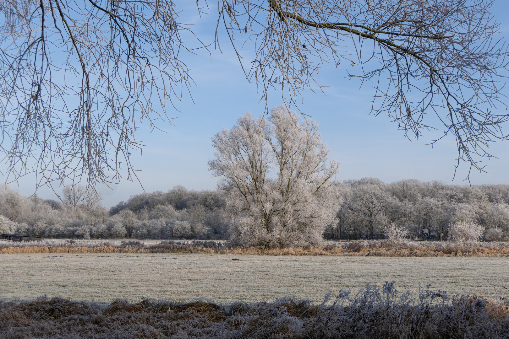 Einer der wenigen Wintertage...