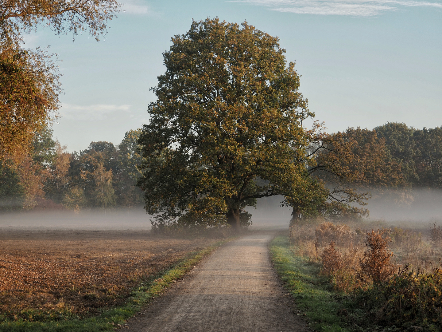 Einer erster Herbstmorgen