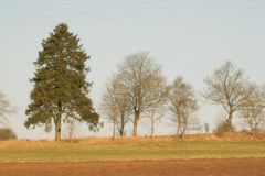 einer fällt immer aus der Reihe