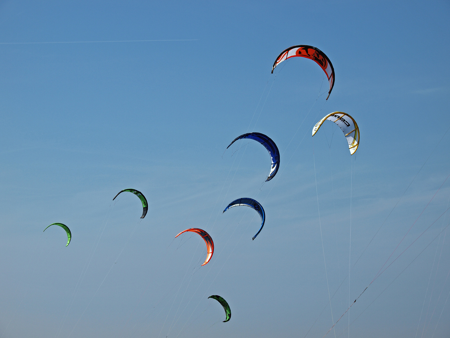 "einer fliegt frei!"