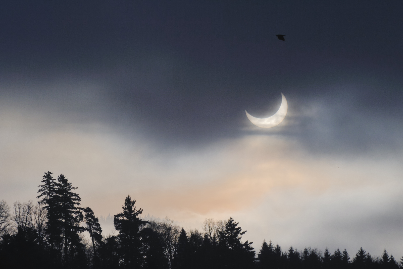 Einer flog über das Sonnenfest/ partielle Sonnenfinsternis