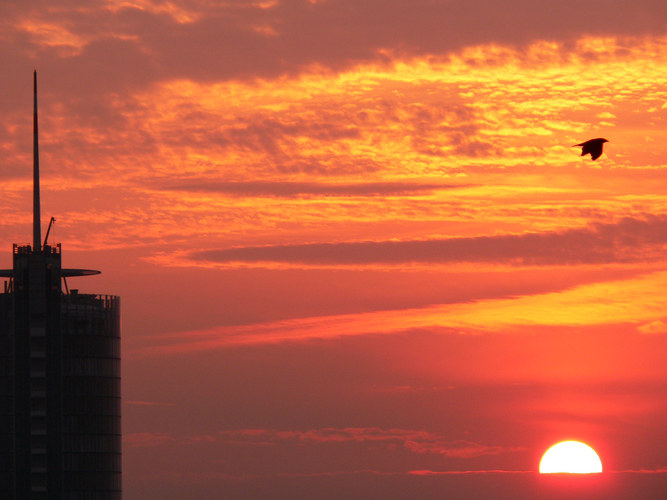 Einer flog über das "Sonnennest"