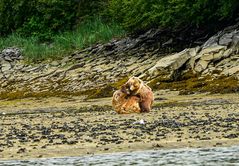 Einer geht dabei drauf.                            DSC_5351