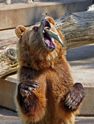 Einer geht noch rein