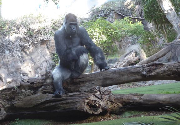 Einer meiner Lieblinge....