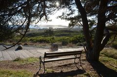 einer meiner Lieblingsplätze  Hiddensee 