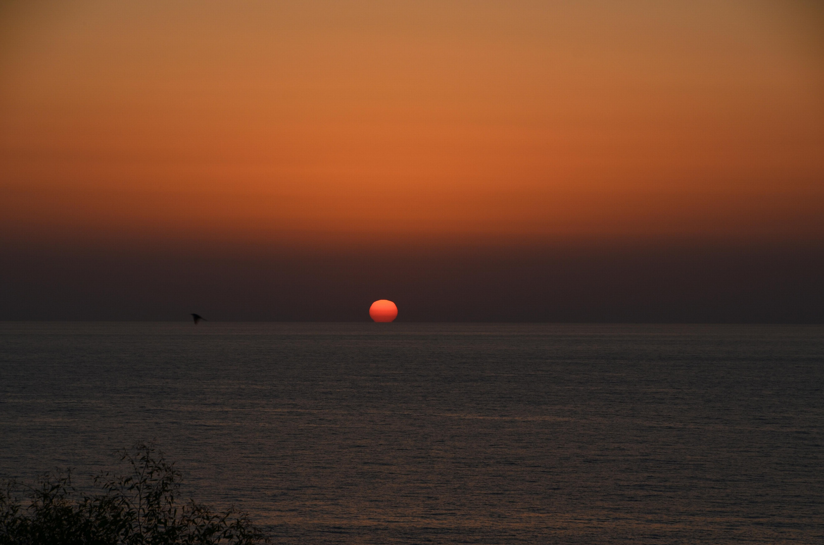 Einer von vielen in Calabria