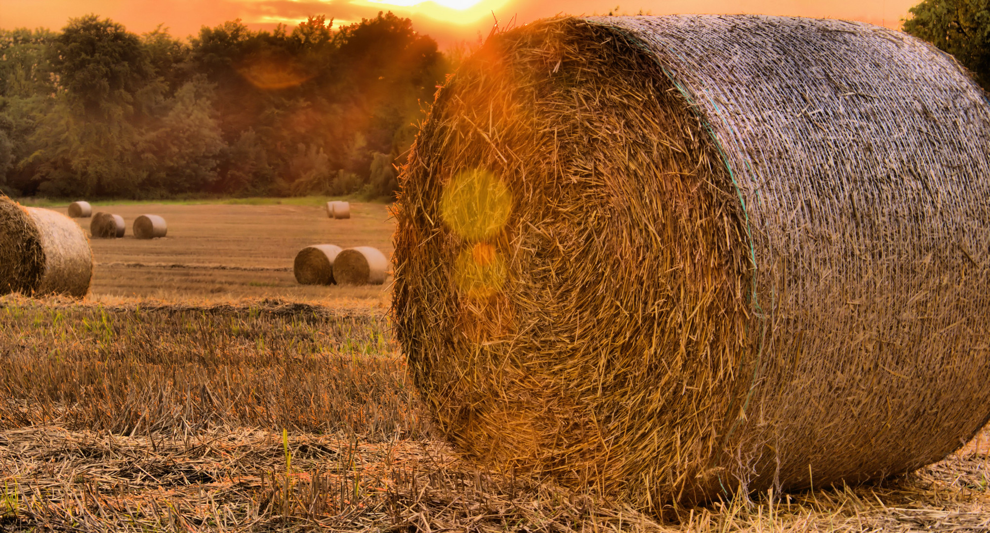 Eines Abends auf dem Heimweg