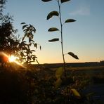 Eines Abends in Mecklenburg-Vorpommern 2004